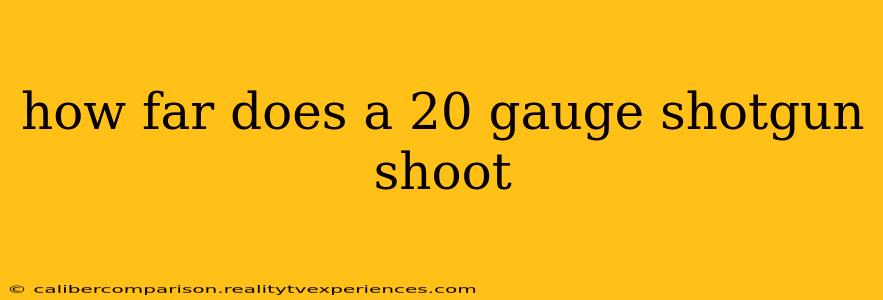 how far does a 20 gauge shotgun shoot