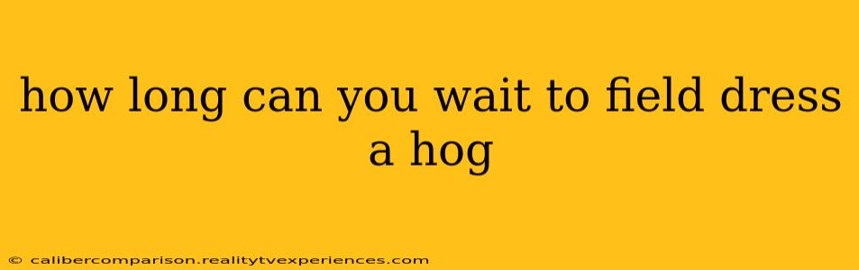 how long can you wait to field dress a hog