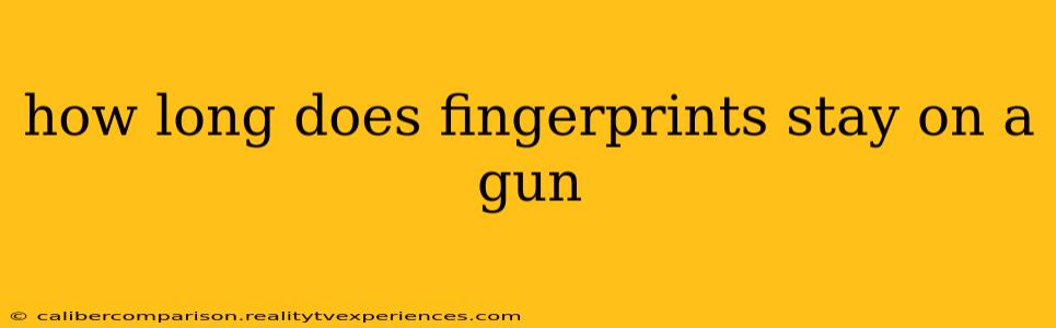 how long does fingerprints stay on a gun