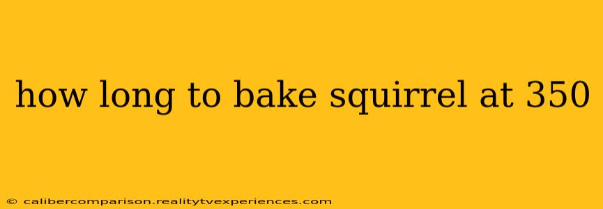 how long to bake squirrel at 350