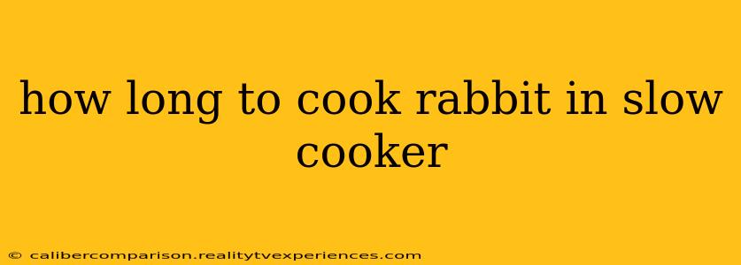 how long to cook rabbit in slow cooker