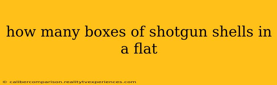 how many boxes of shotgun shells in a flat