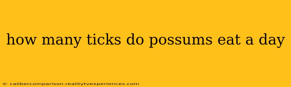 how many ticks do possums eat a day