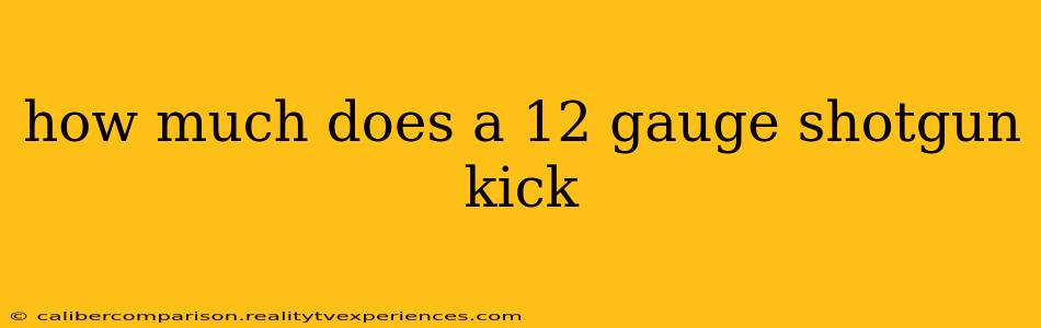 how much does a 12 gauge shotgun kick