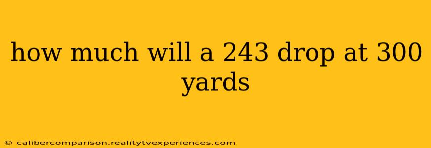 how much will a 243 drop at 300 yards