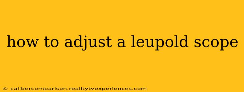 how to adjust a leupold scope