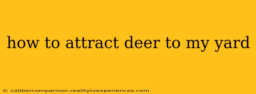 how to attract deer to my yard