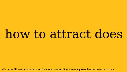 how to attract does