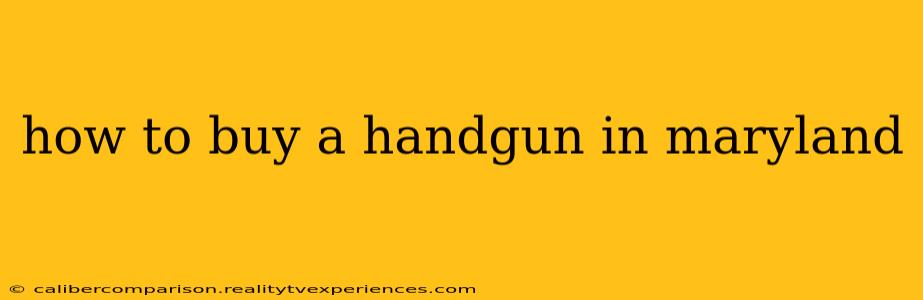 how to buy a handgun in maryland