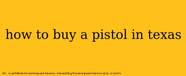 how to buy a pistol in texas