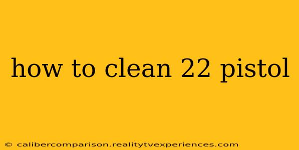 how to clean 22 pistol