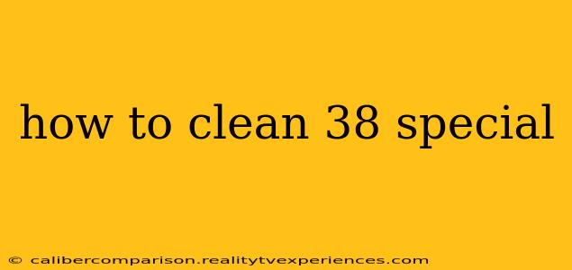 how to clean 38 special