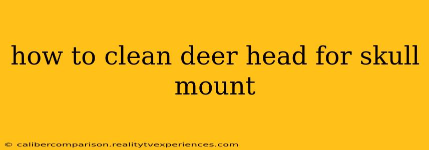 how to clean deer head for skull mount