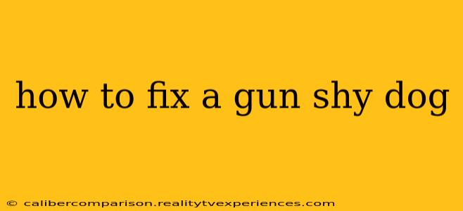 how to fix a gun shy dog