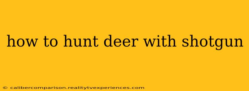 how to hunt deer with shotgun