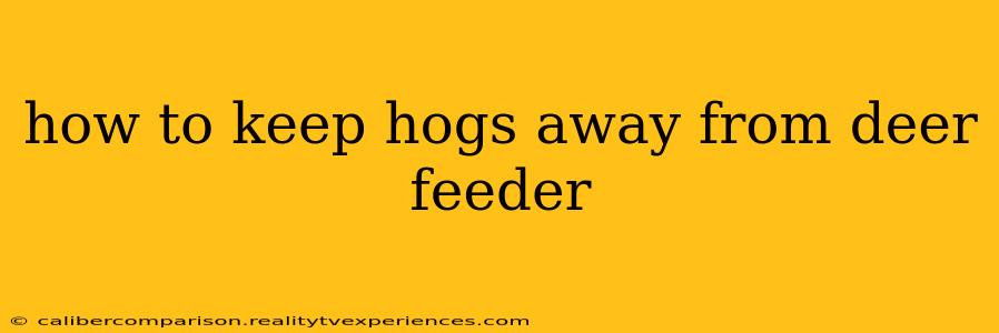 how to keep hogs away from deer feeder