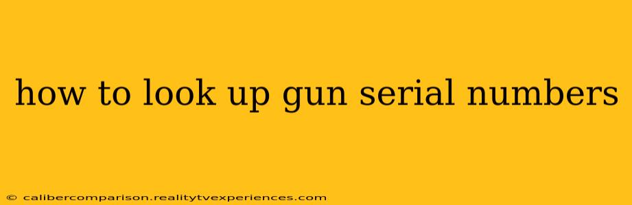 how to look up gun serial numbers