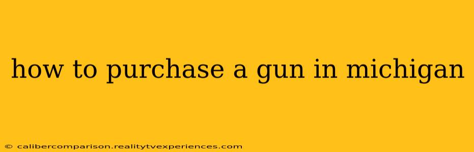 how to purchase a gun in michigan