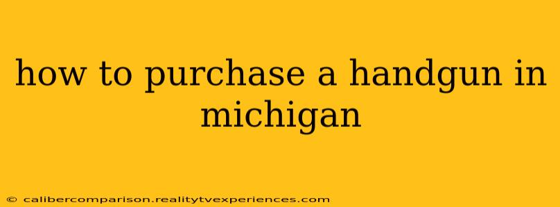 how to purchase a handgun in michigan