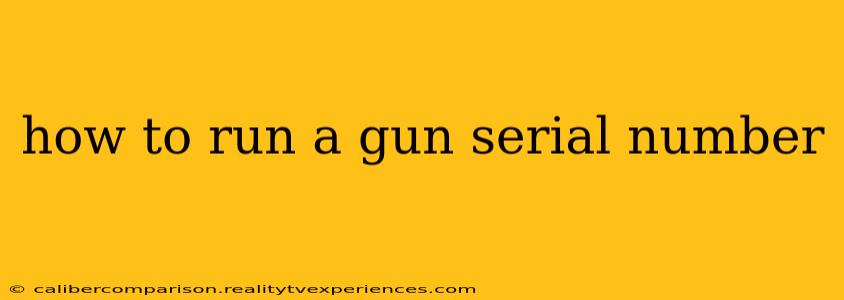 how to run a gun serial number