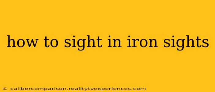 how to sight in iron sights