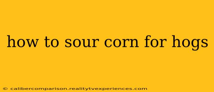 how to sour corn for hogs