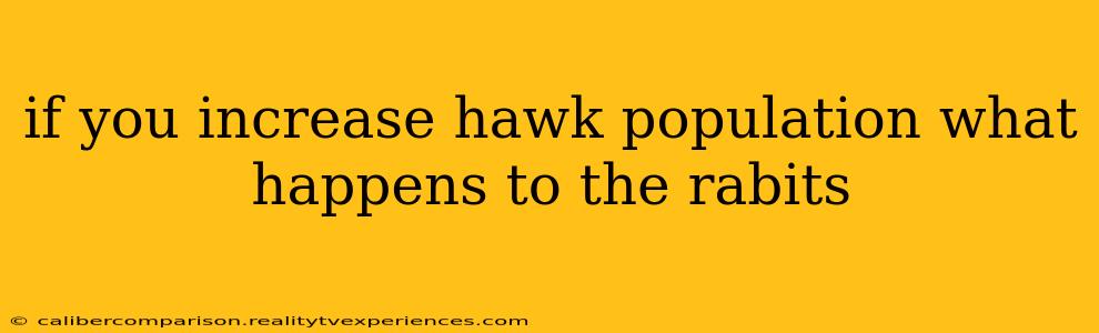 if you increase hawk population what happens to the rabits