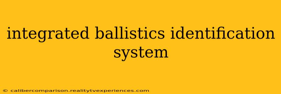 integrated ballistics identification system