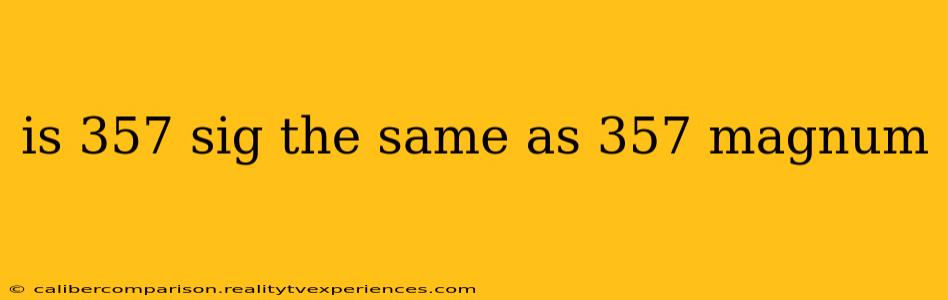 is 357 sig the same as 357 magnum