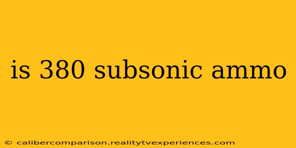 is 380 subsonic ammo