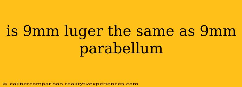 is 9mm luger the same as 9mm parabellum