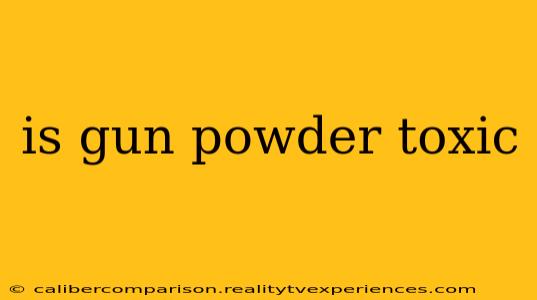 is gun powder toxic