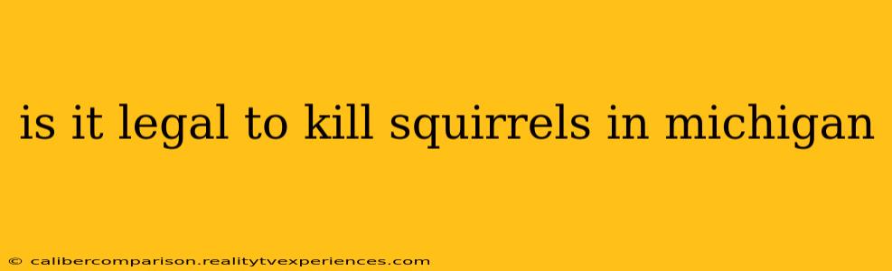 is it legal to kill squirrels in michigan