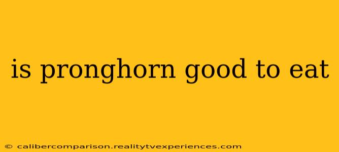 is pronghorn good to eat