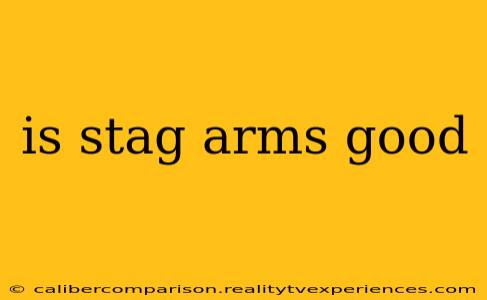 is stag arms good