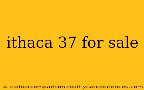 ithaca 37 for sale