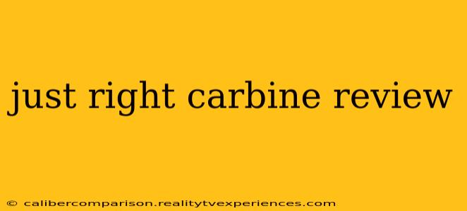 just right carbine review