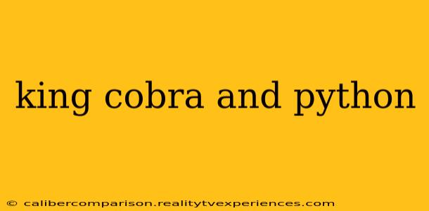 king cobra and python