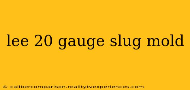 lee 20 gauge slug mold