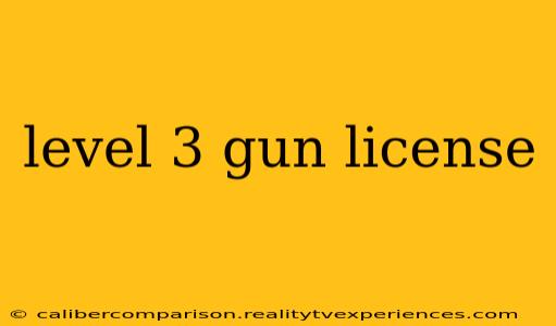 level 3 gun license