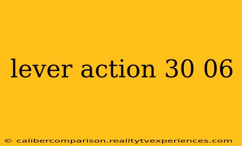 lever action 30 06