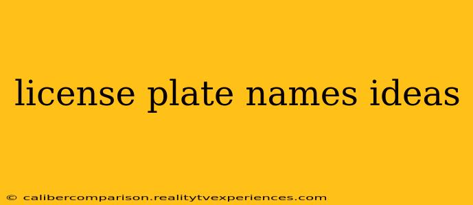 license plate names ideas