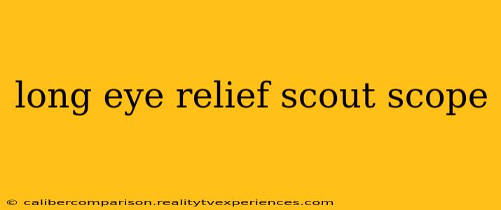 long eye relief scout scope