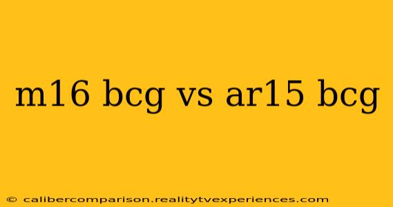 m16 bcg vs ar15 bcg