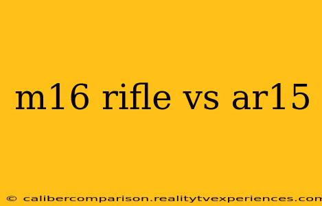 m16 rifle vs ar15