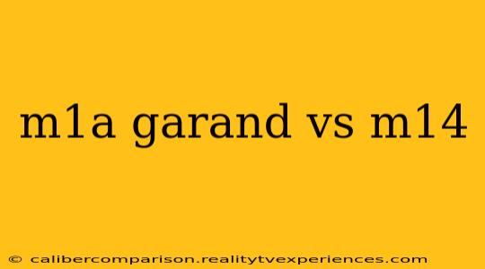 m1a garand vs m14