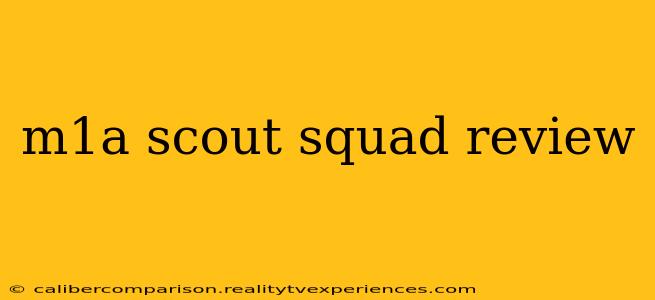 m1a scout squad review