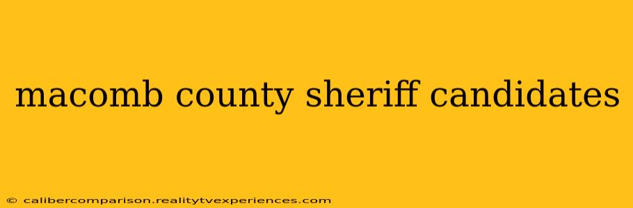 macomb county sheriff candidates