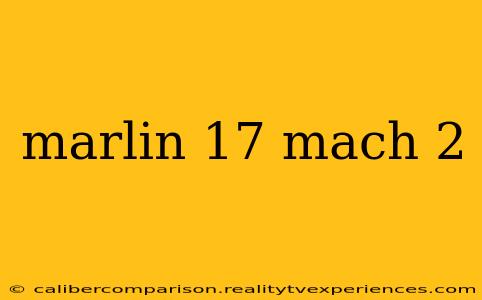 marlin 17 mach 2