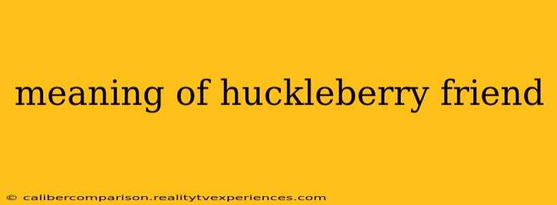 meaning of huckleberry friend